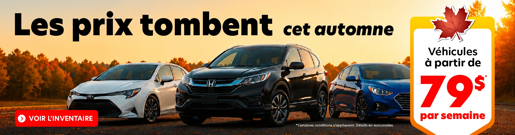 Les prix tombent cet automne